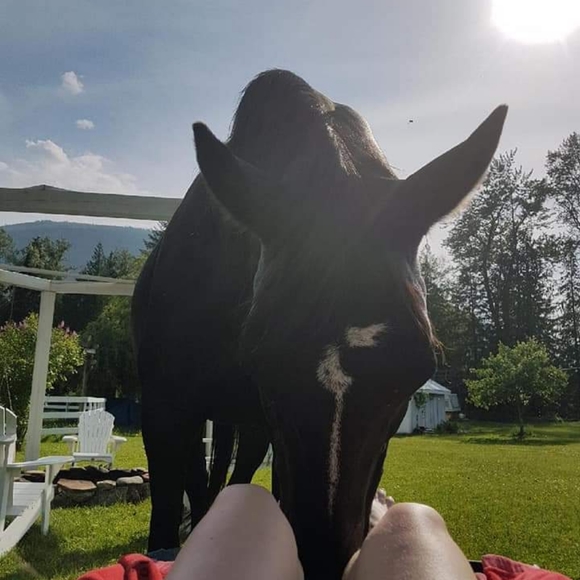 Meet your Posher, Sheila - Picture 7 of 16